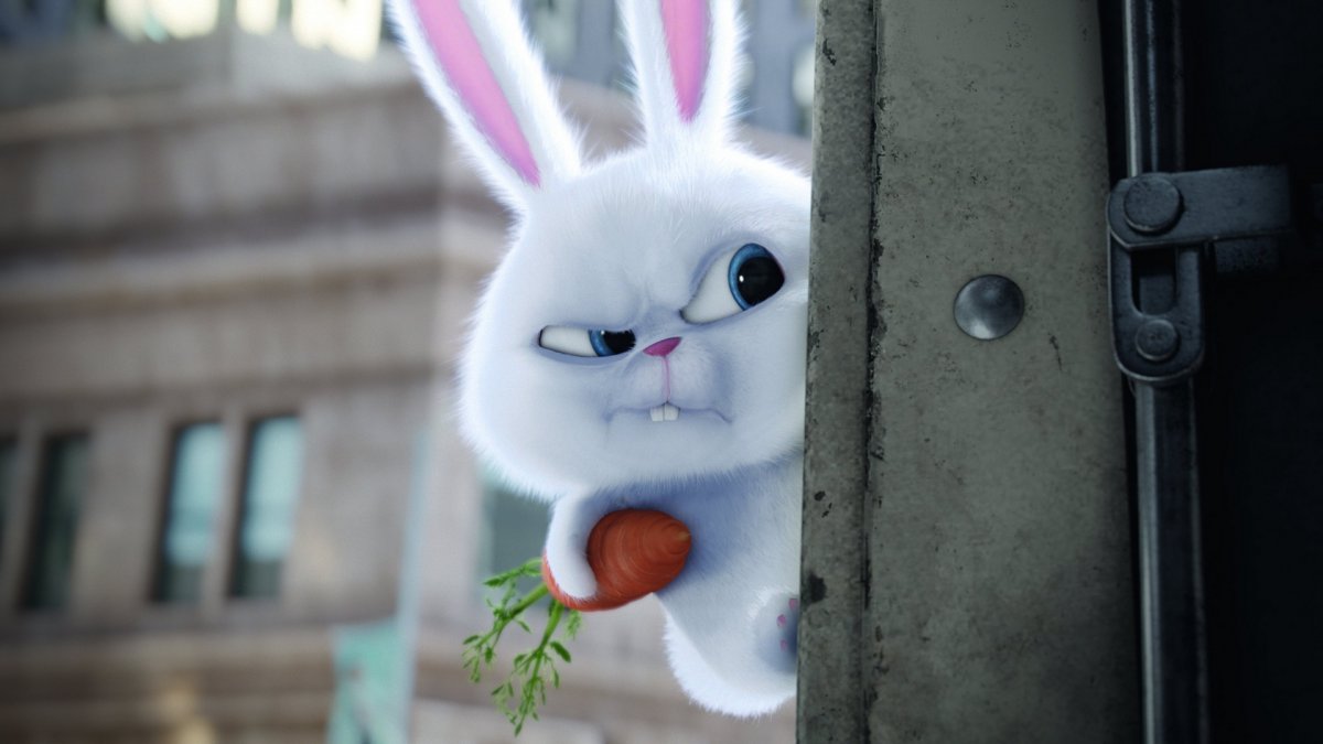 Тайная жизнь домашних животных снежок