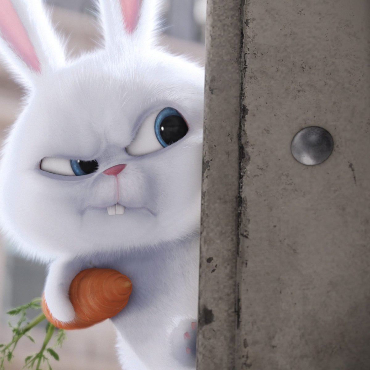 Крутой заяц