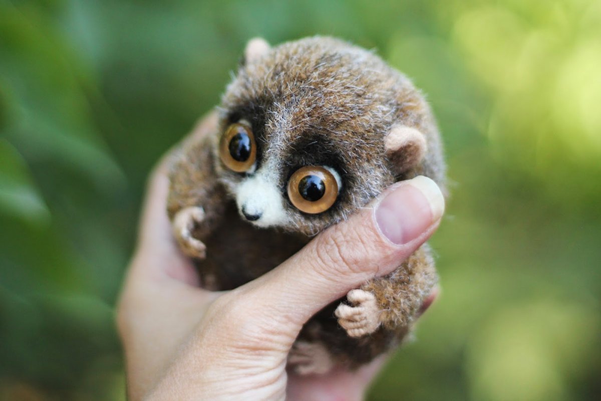 Долгопят Гремлин