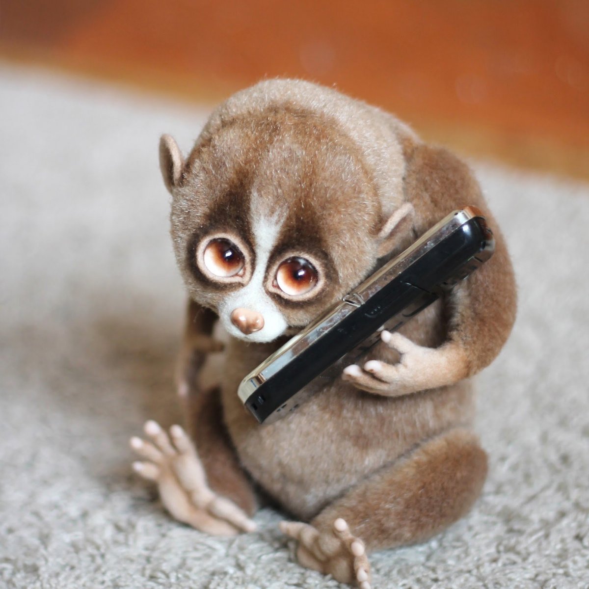 Животные с большими глазами прикол