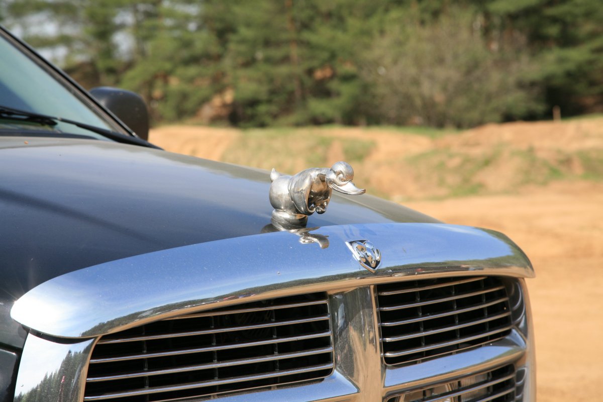 Марка Форд Мустанг