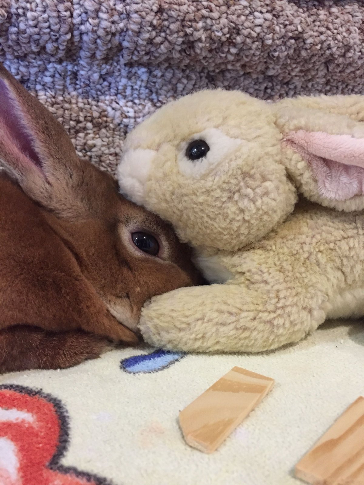 Крольчата реалистичные