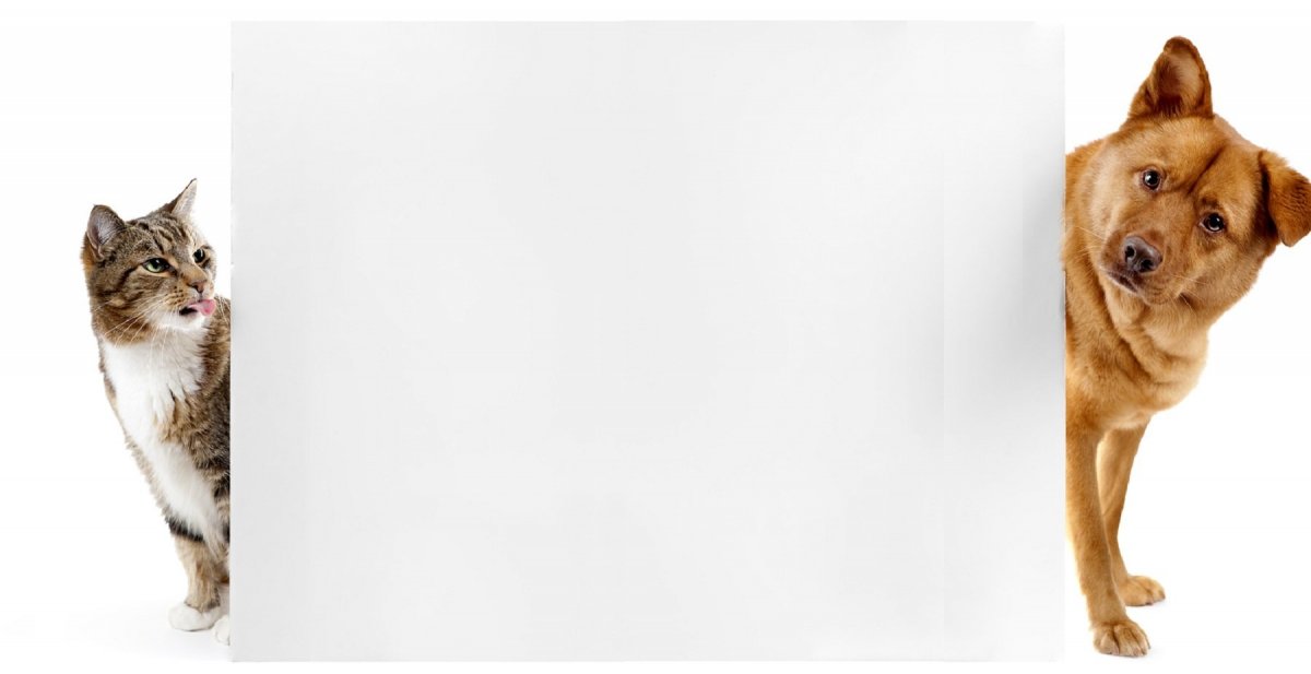 Обои на рабочий стол Минимализм