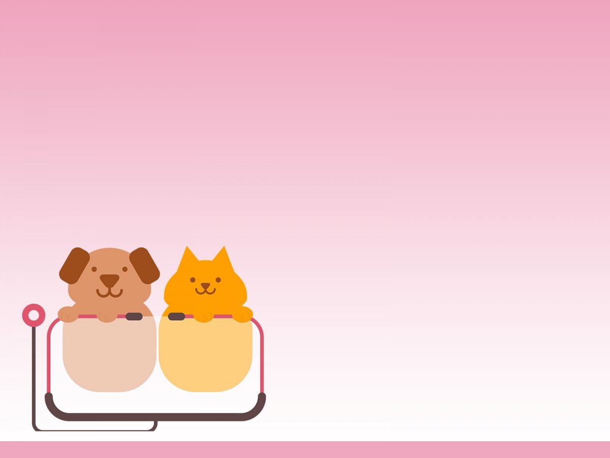 Фон для презентации животные