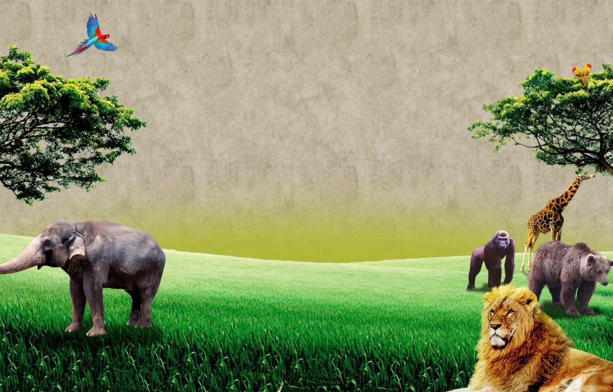 Фон для презентации зоопарк