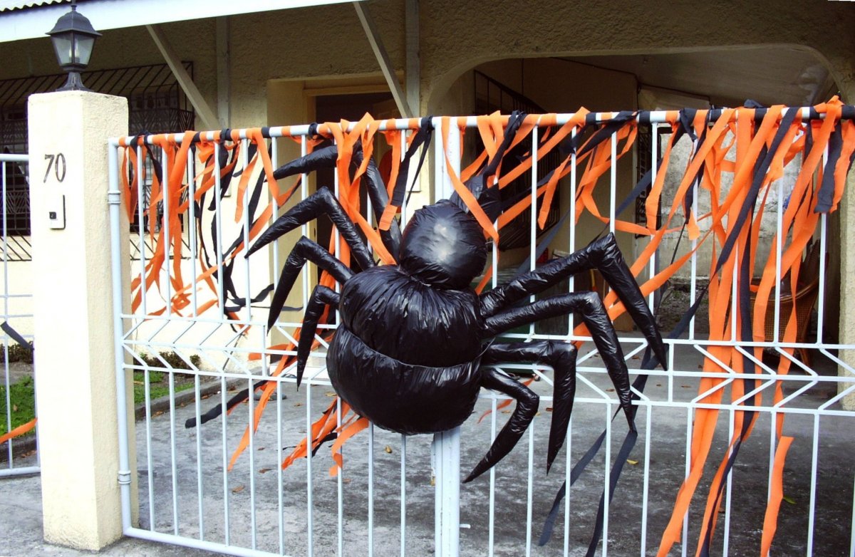 Крестовик обыкновенный виноградный паук