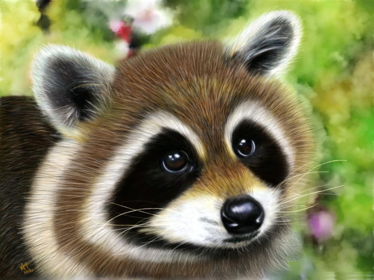 Морда собаки