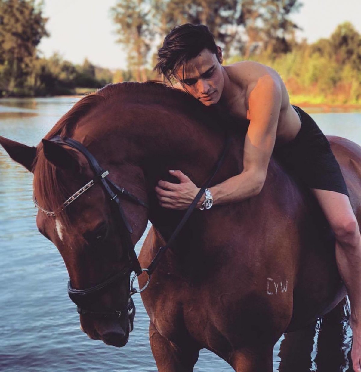 Мужчина на лошади