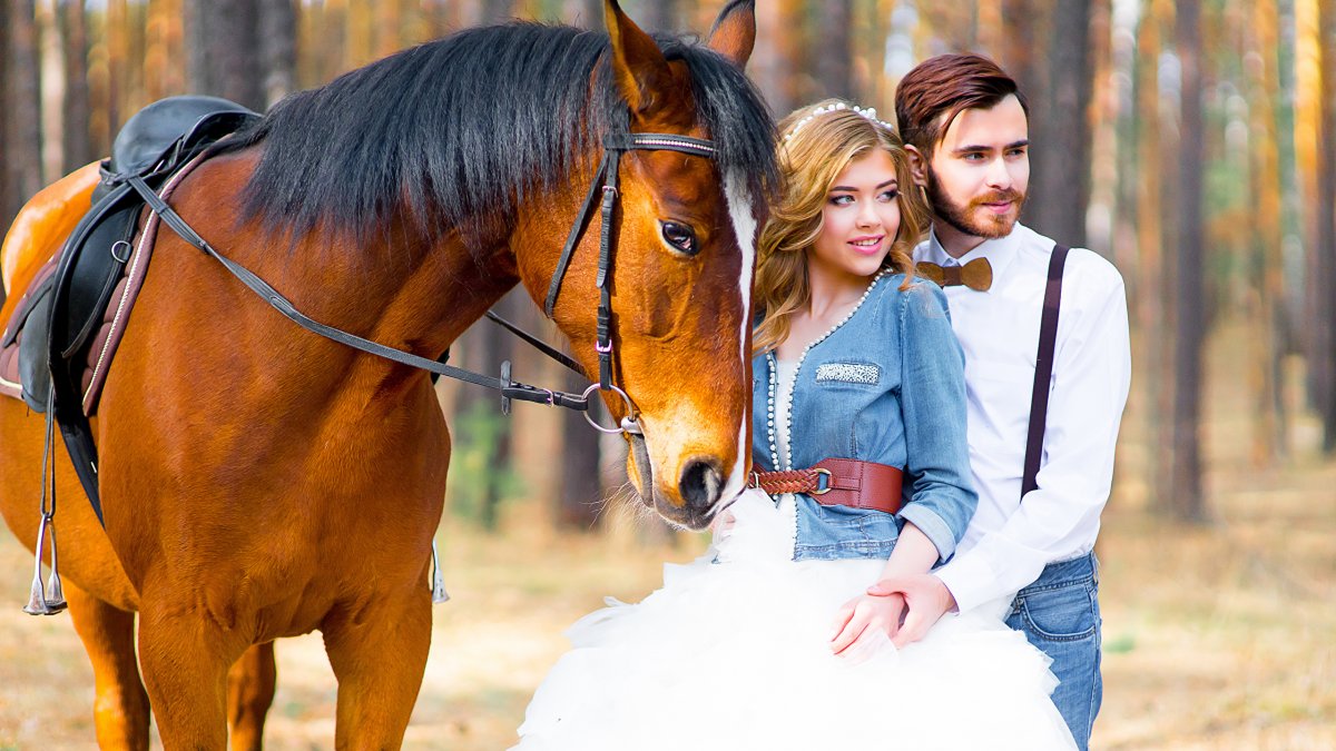 Мужчина на лошади