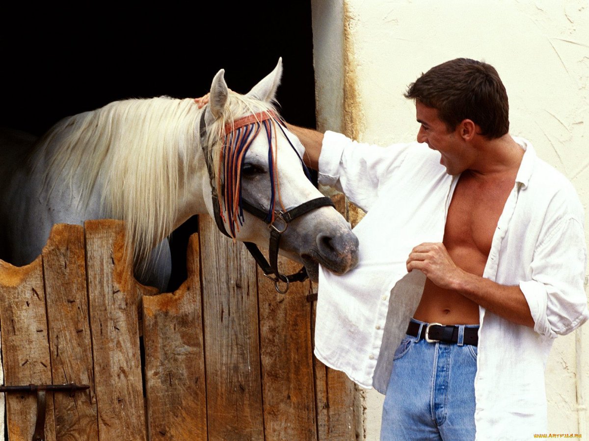 Брэд Питт конь