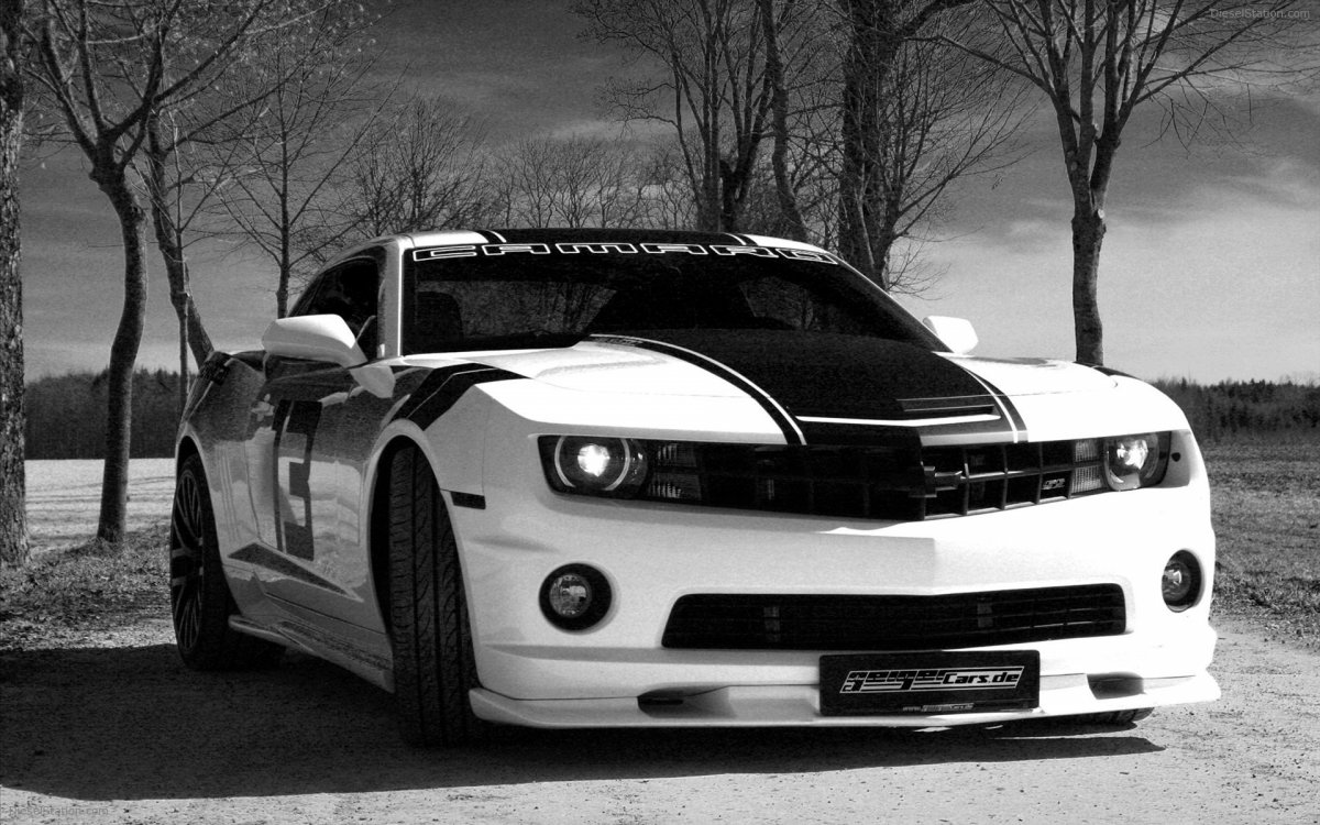 Lamborghini Huracan черный тонированный