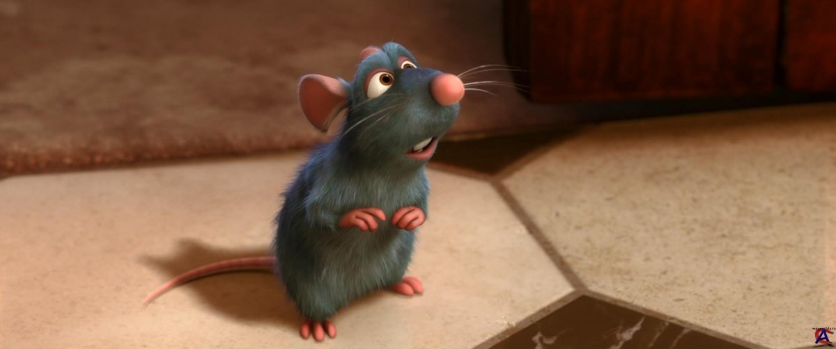 Твой друг крыса мультфильм 2007