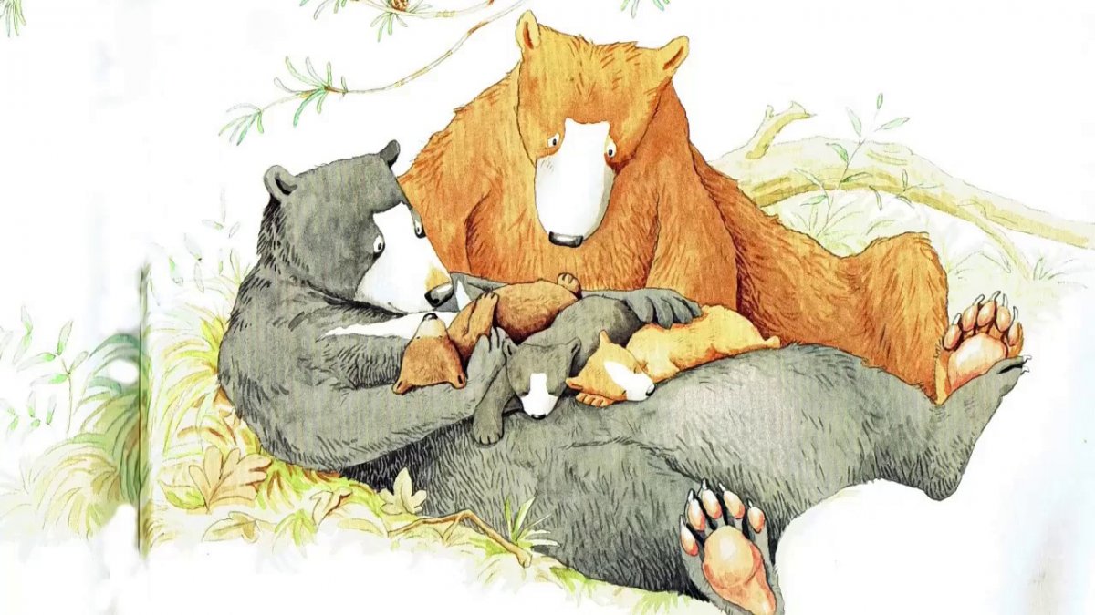 Красная Панда мультфильм