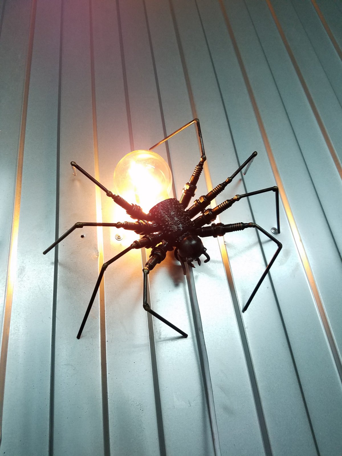 Строение паука птицееда