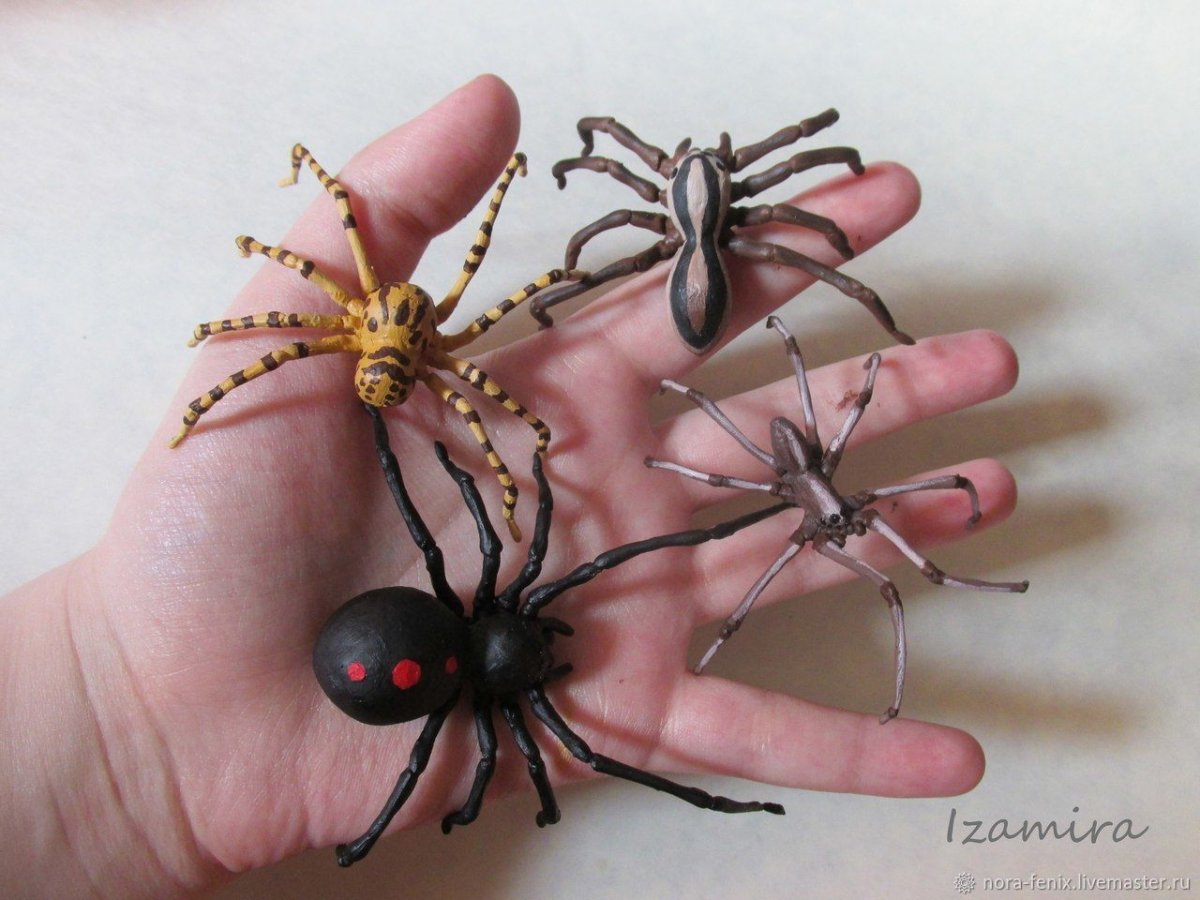 Плюшевый паук