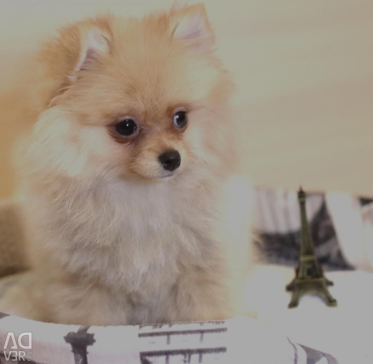 Пырзики малыши фотографии красивые