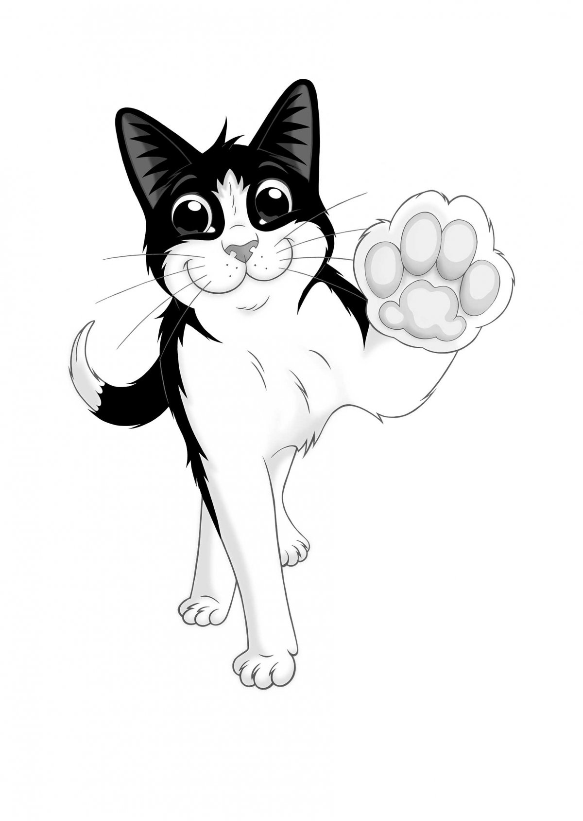 Коты на черном фоне