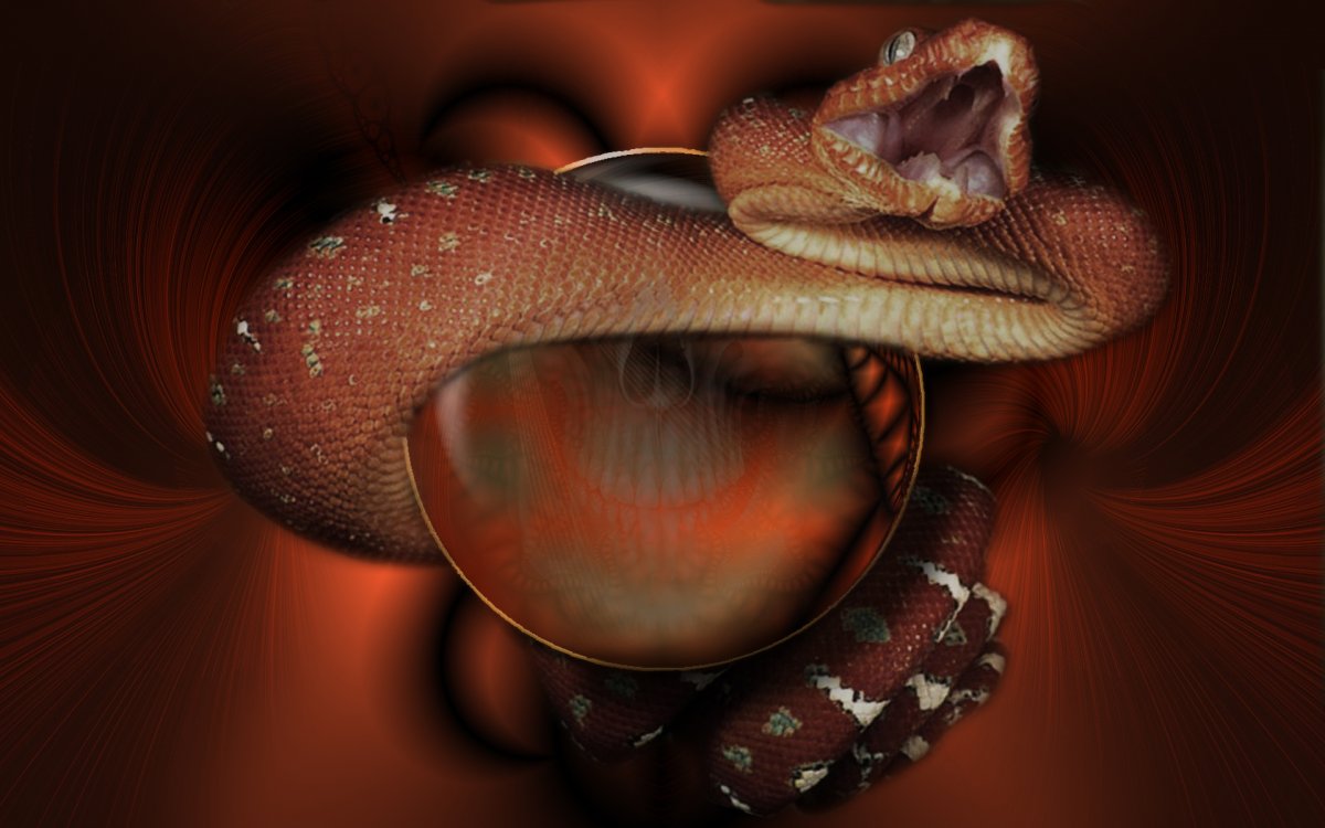 Фотообои змея