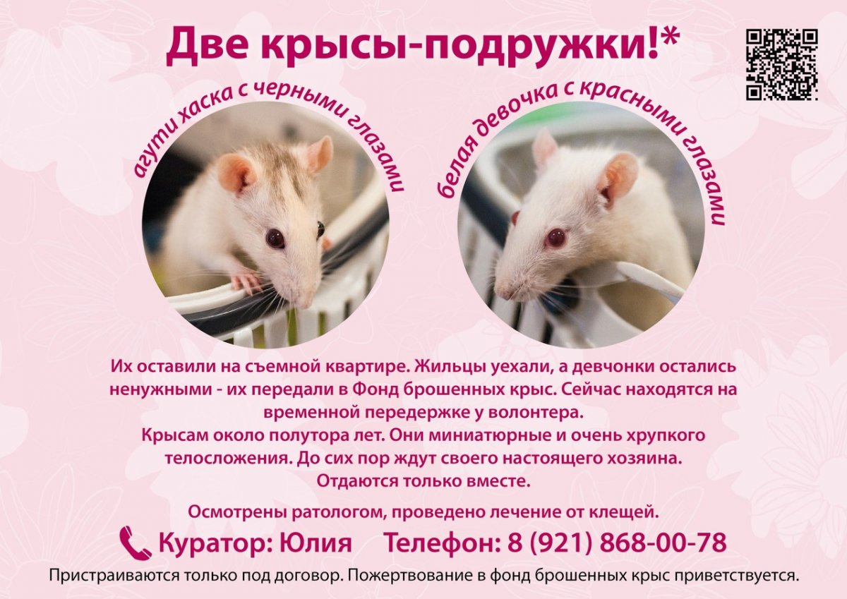 Две мышки на костылях