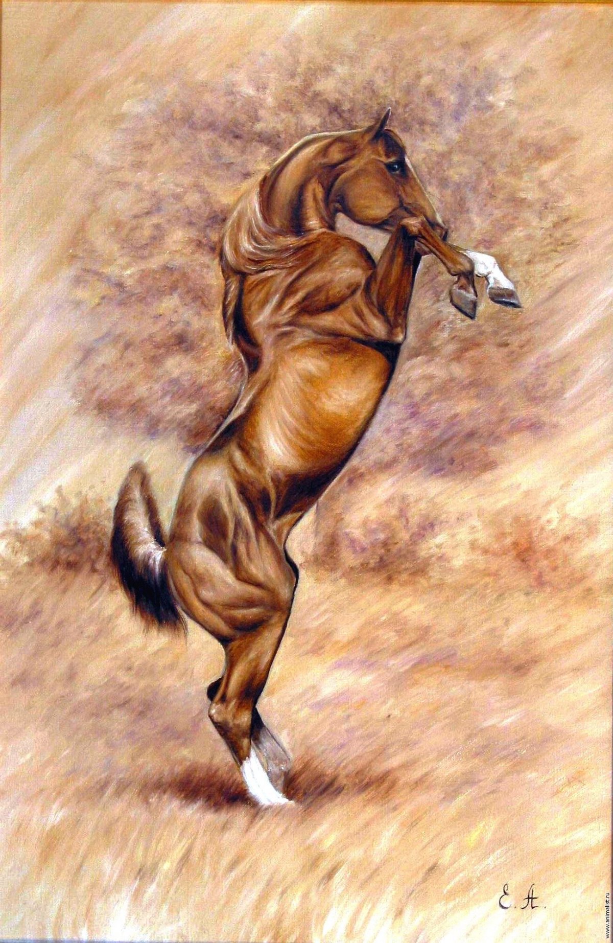 Эскиз лошадь на дыбах