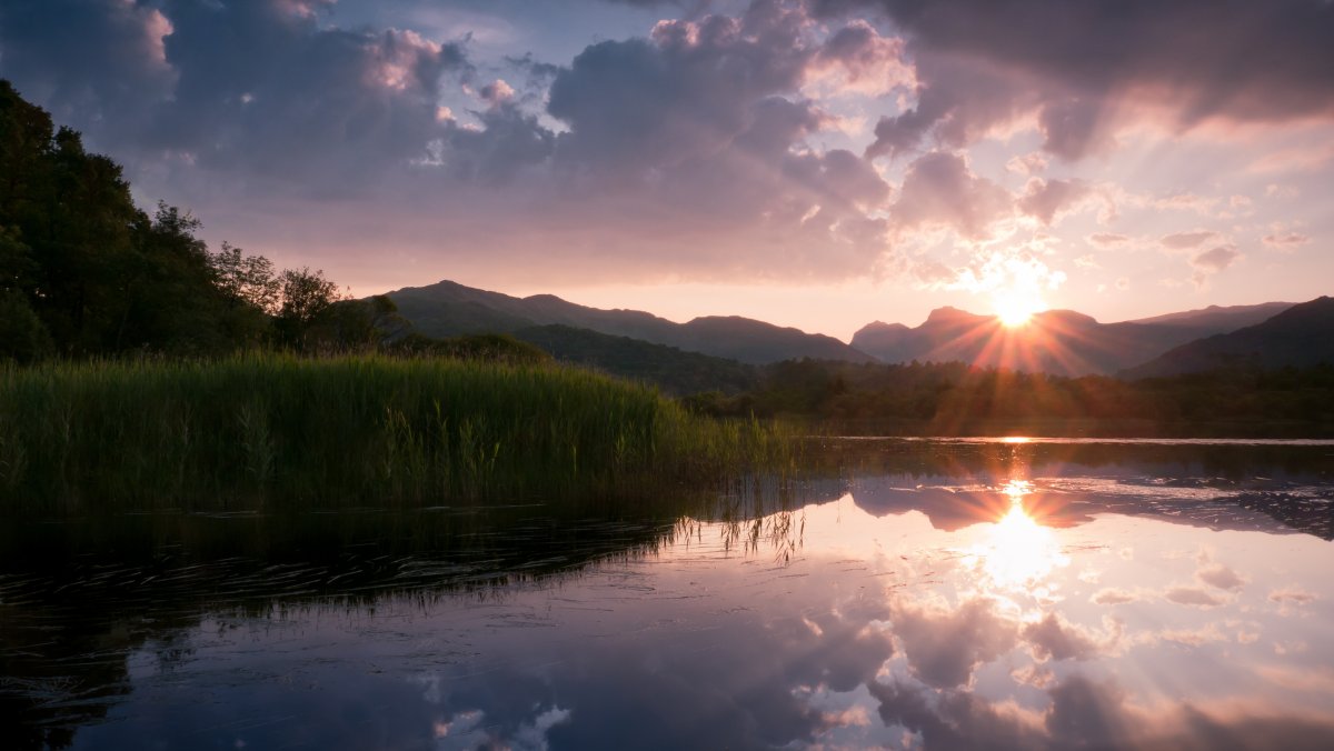 Природа рассвет