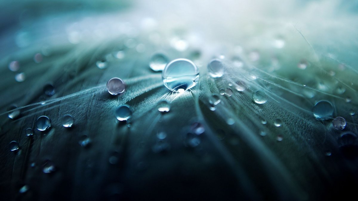 Erisson led 32les76t2