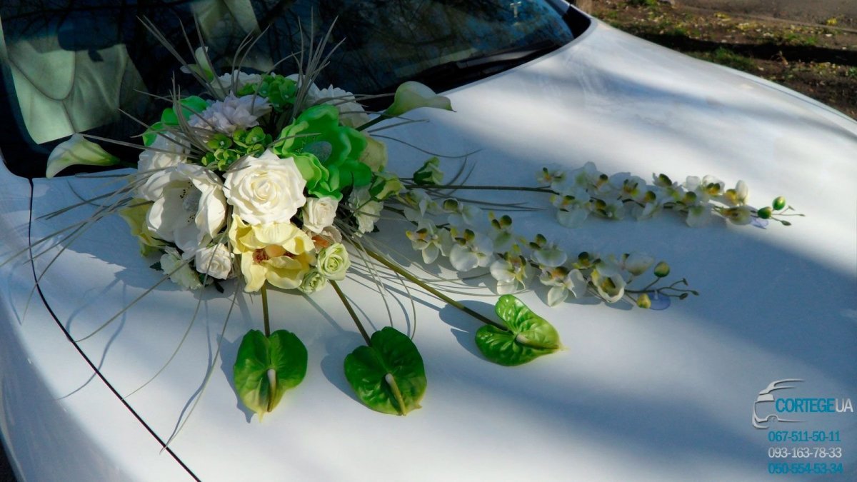 Цветы в машине