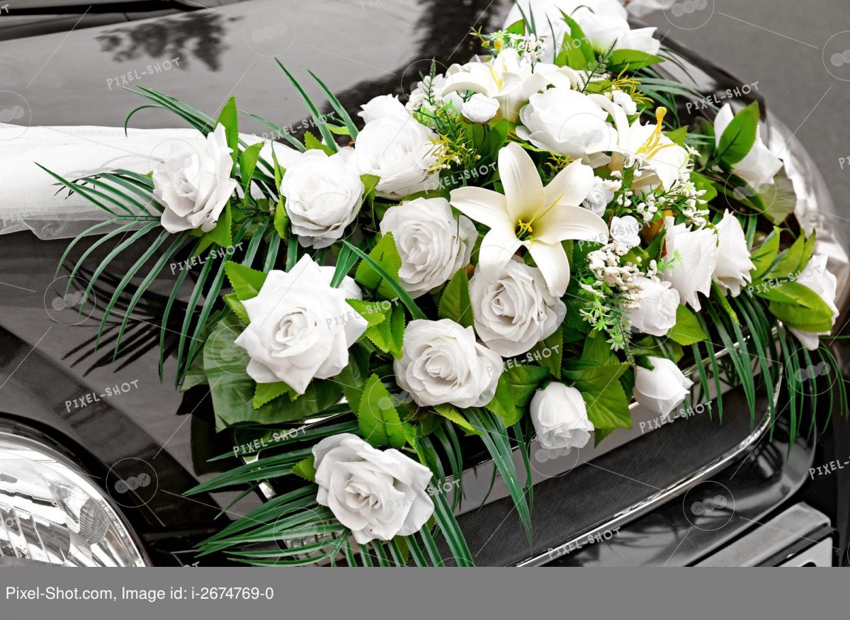 Цветы на белой машине