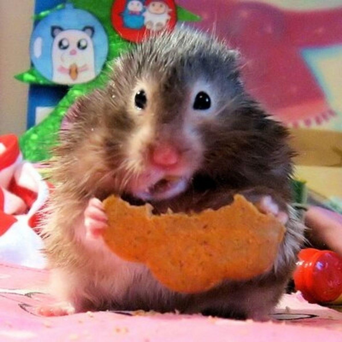 Хомяк с высунутым языком