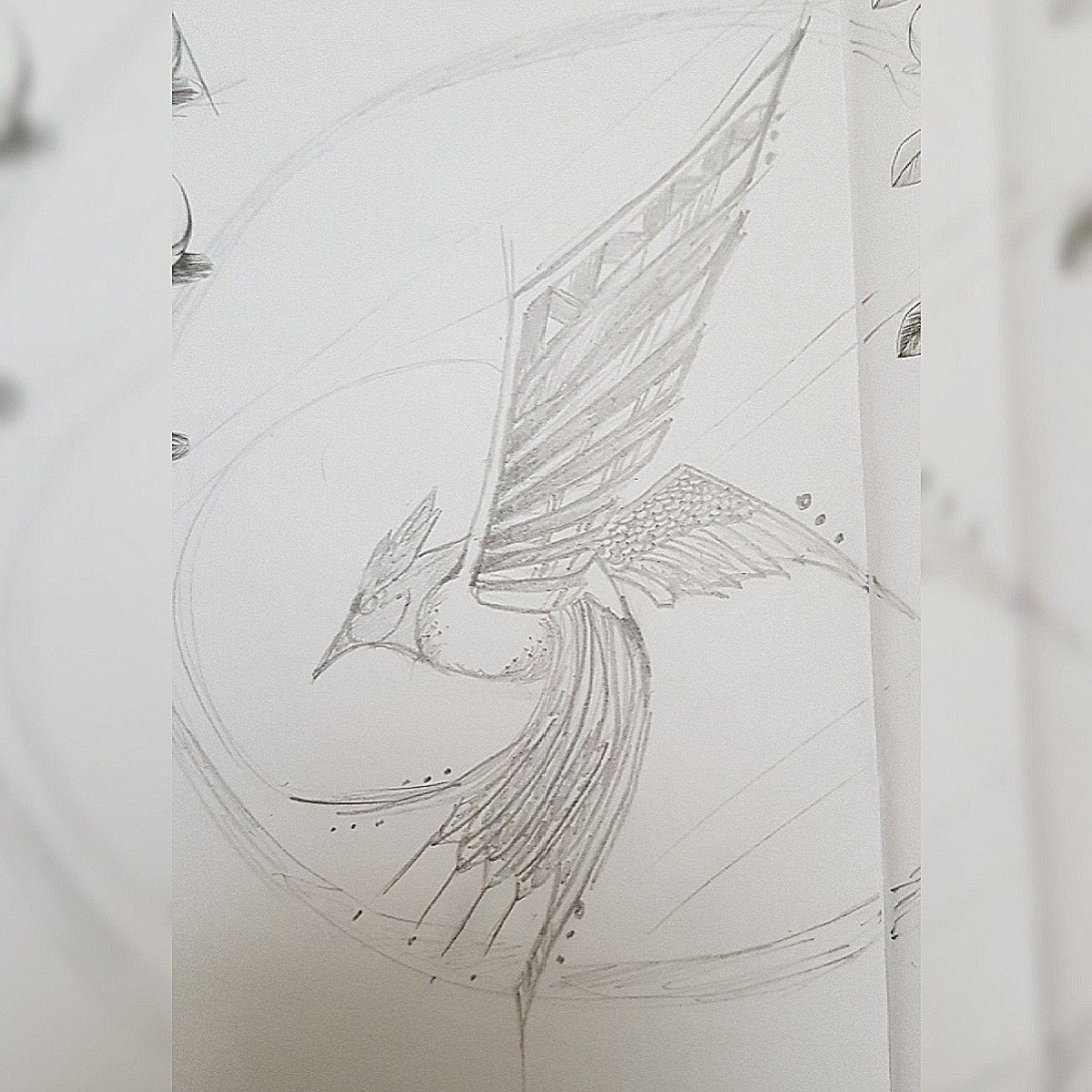 Сойка пересмешница Сойка пересмешница