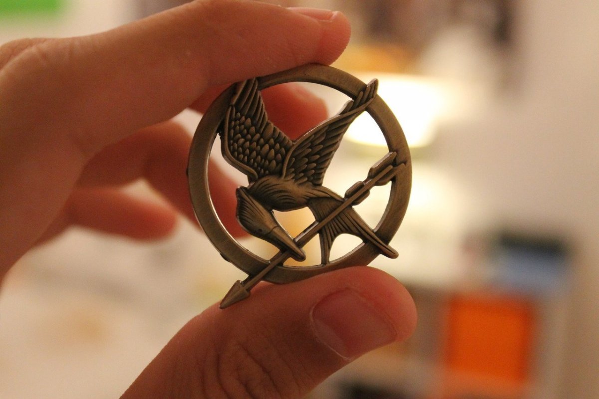 Сойка пересмешница птичка