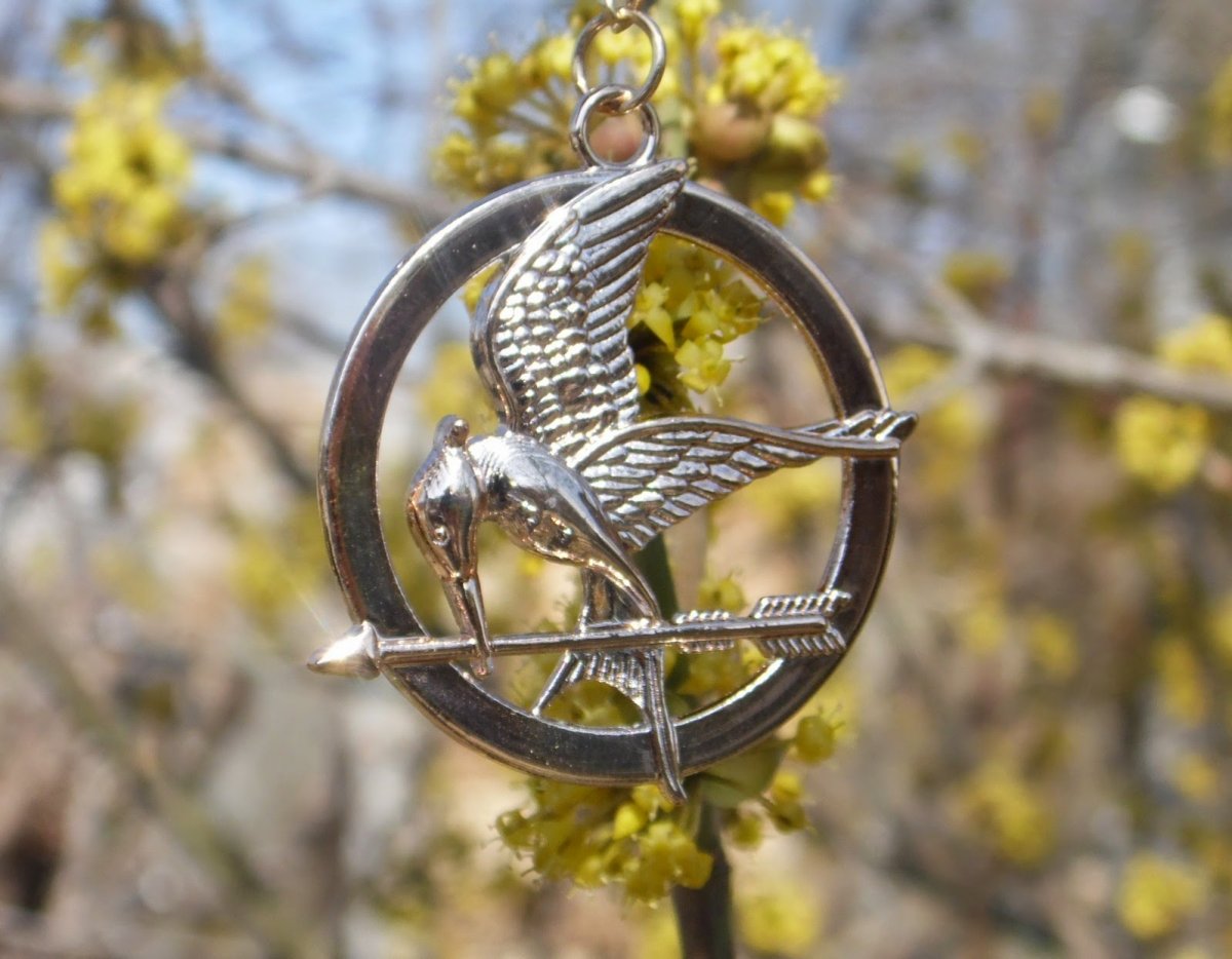 Птичка с крутой прической