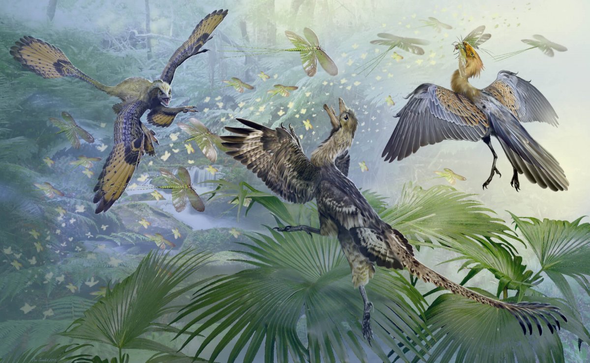 Юрский Археоптерикс