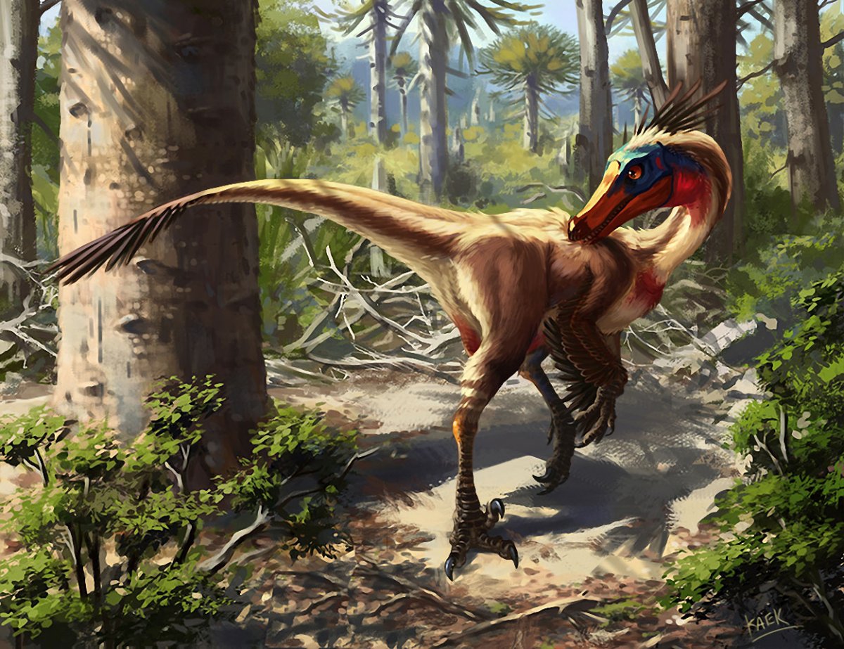 Чайки динозавры