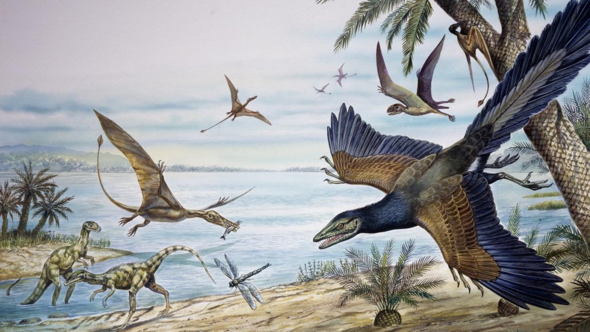 Археоптерикс + Велоцираптор