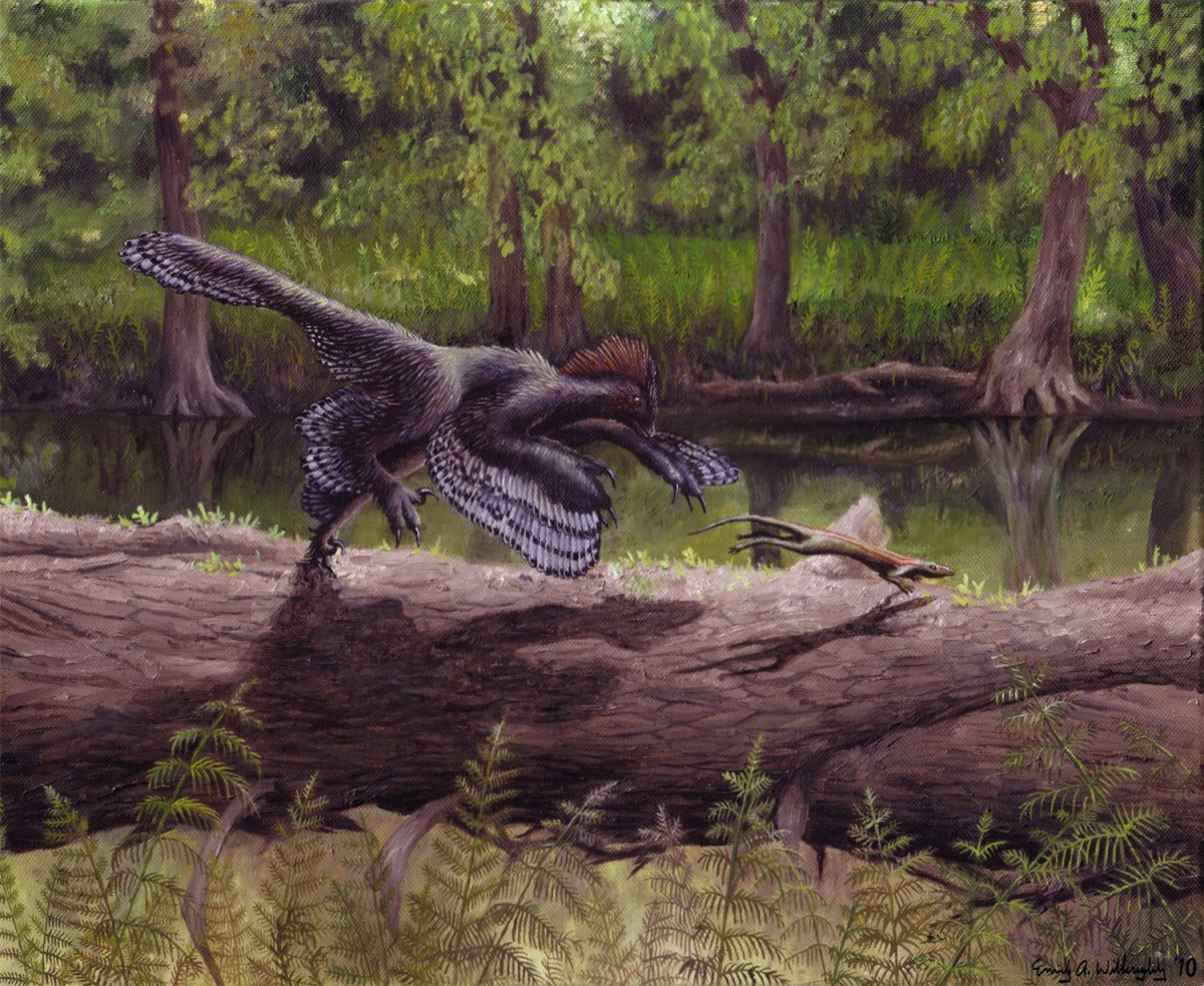 Limusaurus inextricabilis
