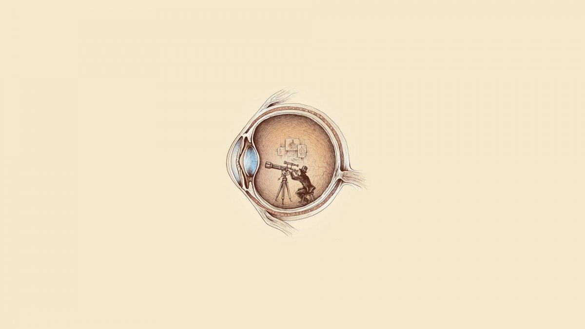 Фон кактусы