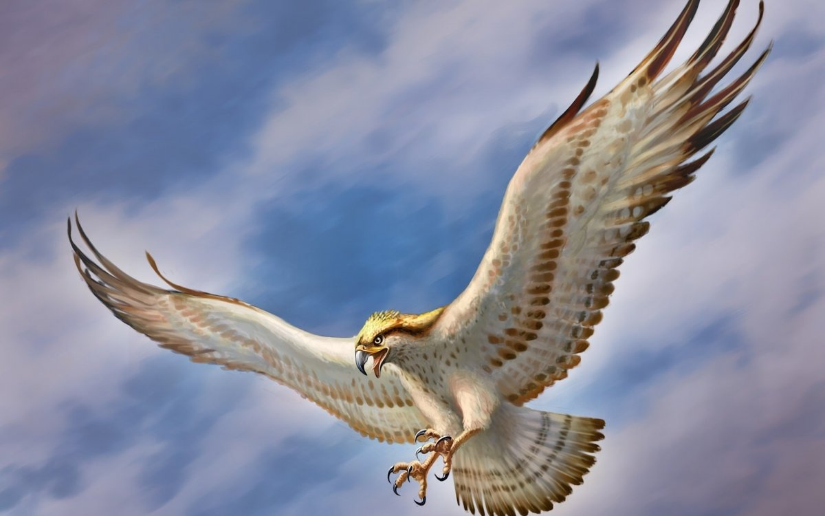 Небесный Сокол Геншин