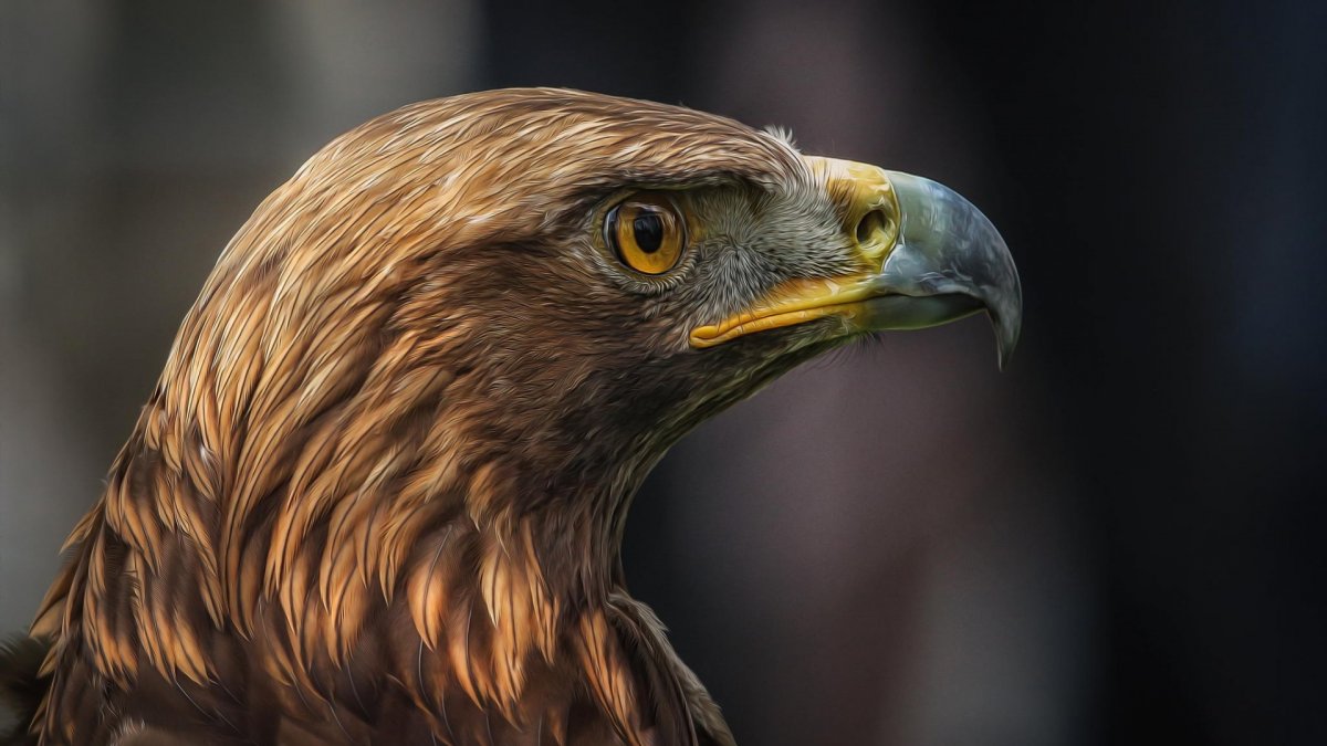 Атлантический тупик