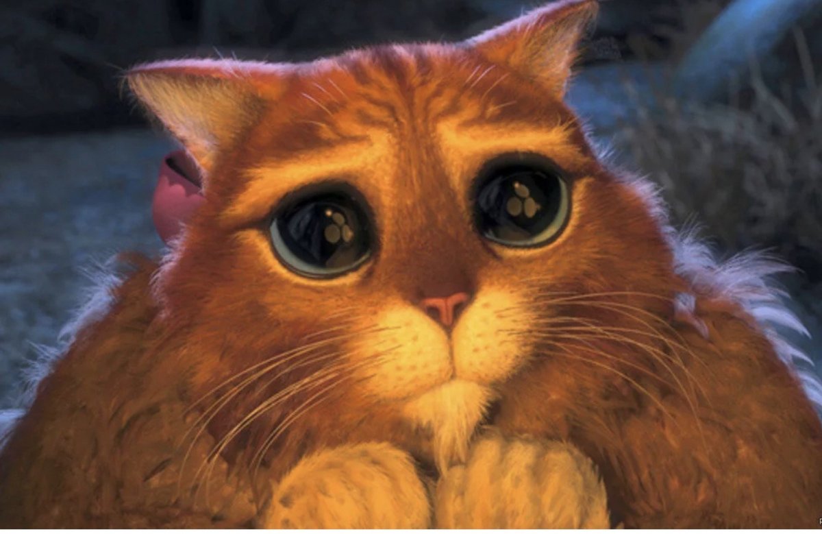 Грустная кошка