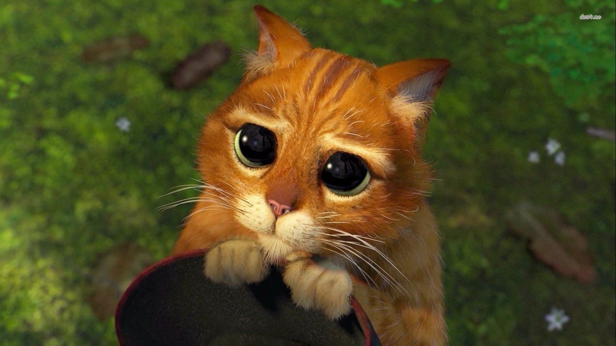 Кот в сапогах из Шрека