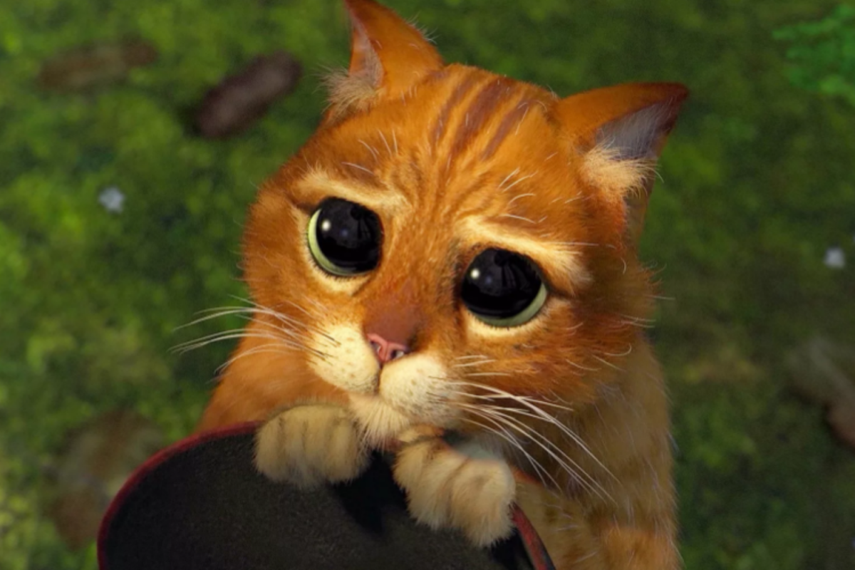 Кот из Шрека глаза