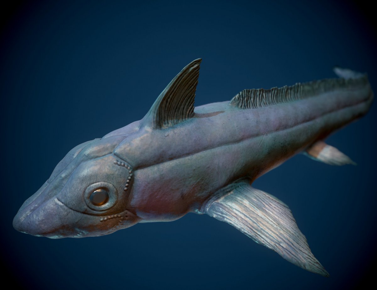 Длинноносая Химера рыба