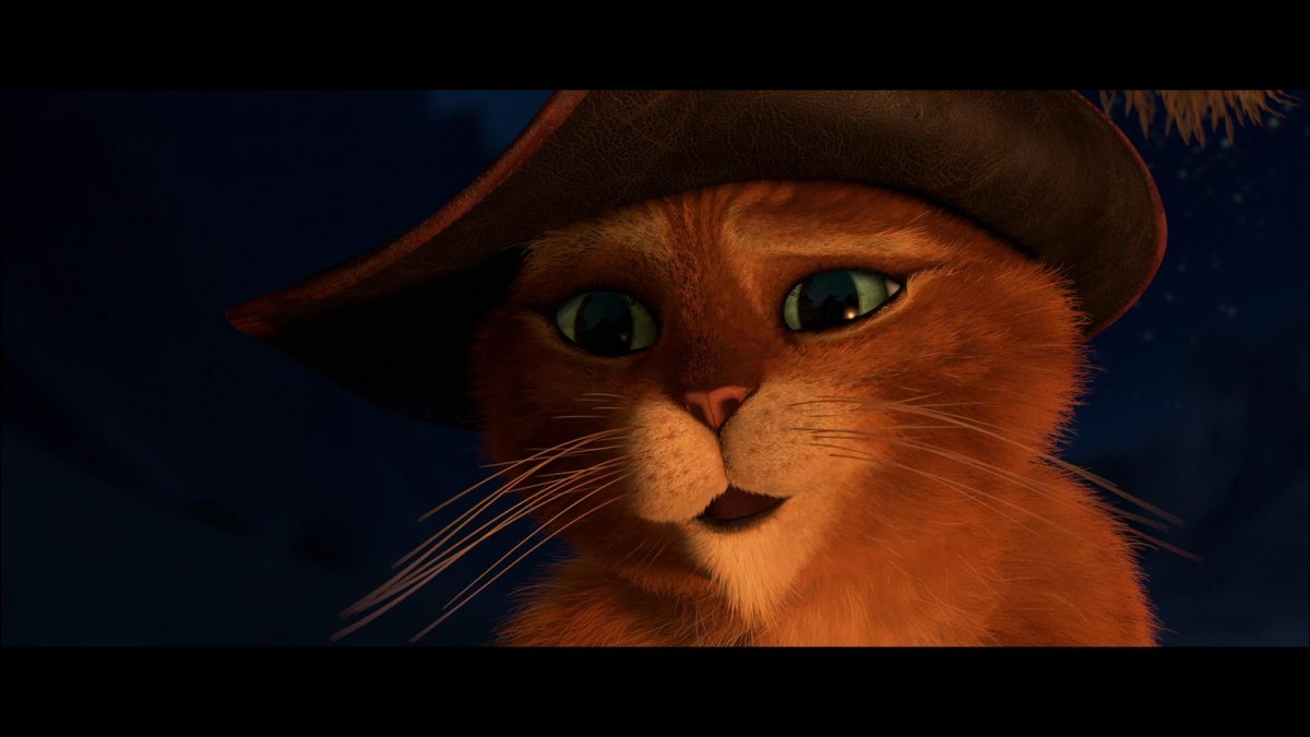 Кот из шрэка