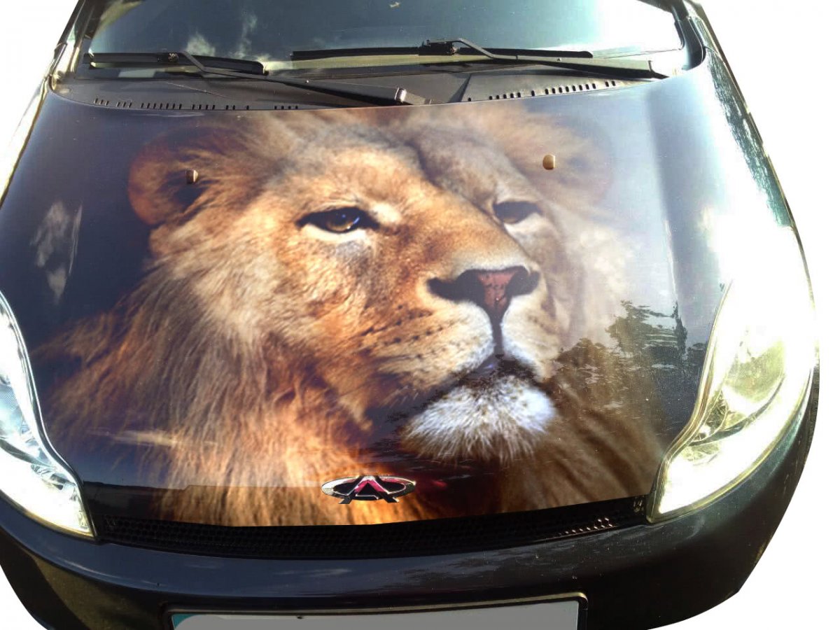 Наклейки на капот