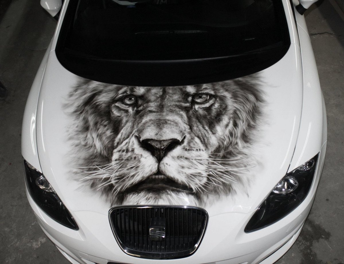 Аэрография на капоте авто