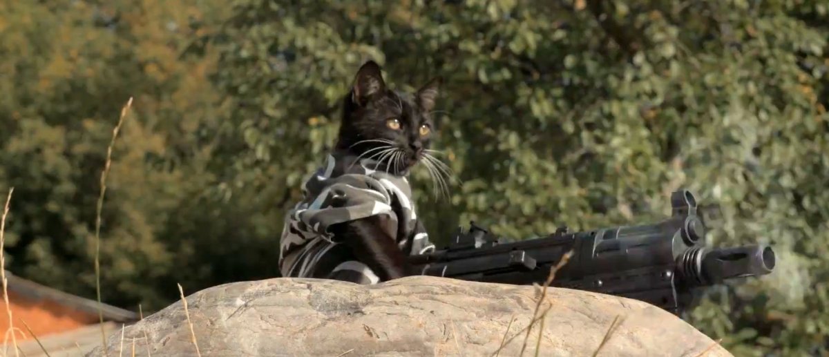 Кот с базукой