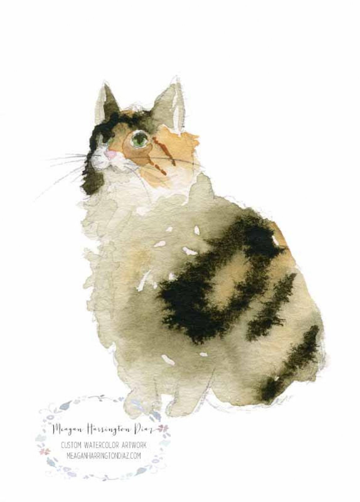 Черепаховая кошка Калико