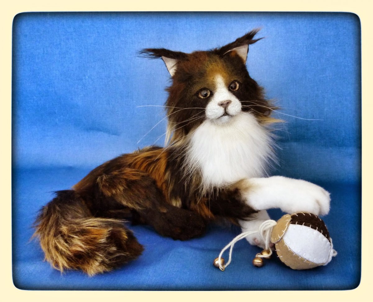 Кошка Калико открытая мордочка