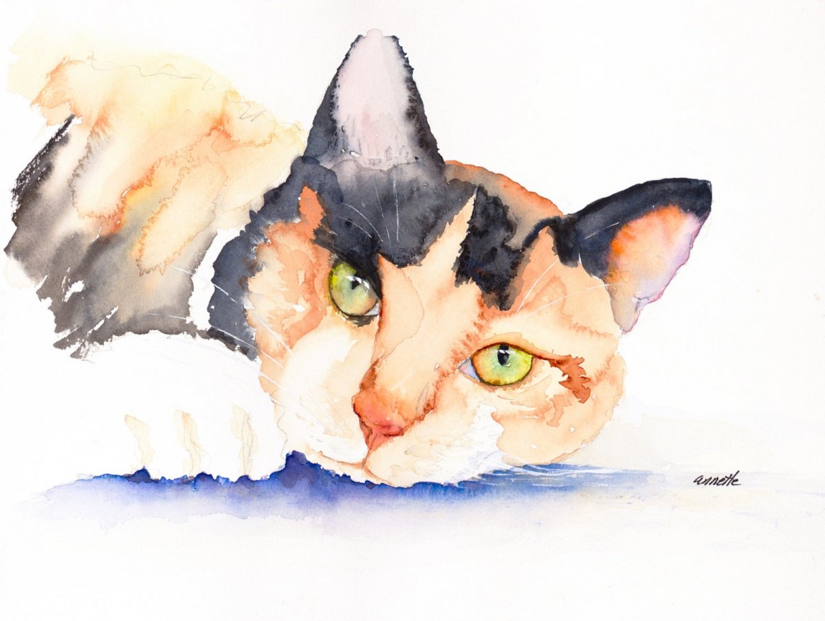 Желтоглазая кошка акварель